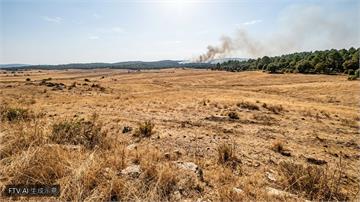 比利時2026年夏季創歷史新高溫　熱浪肆虐爆世紀野火