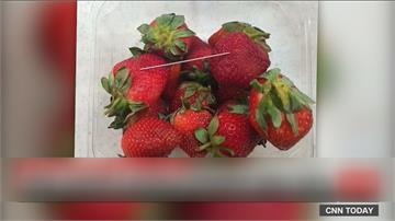 澳洲「草莓藏針」掀恐慌！50歲婦女涉案被捕