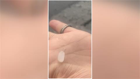 颱風季來了！南海成「低壓搖滾區」　下週恐有颱風生成
