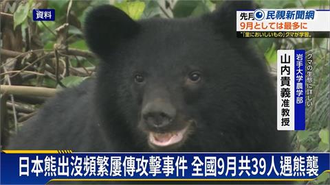 日本熊攻擊事件創新高 黑熊闖群馬縣超市「抓傷2人」