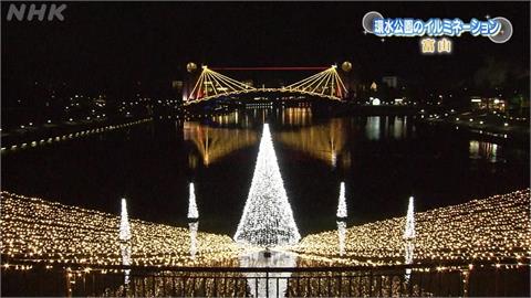 年關將近！水族館用「電鰻發電」點亮耶誕樹　富山運河夢幻燈海過耶誕