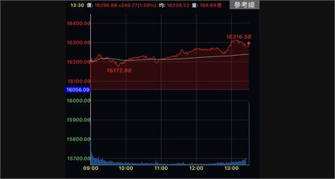 台股類股齊揚上漲240點　終場收在16296.86點