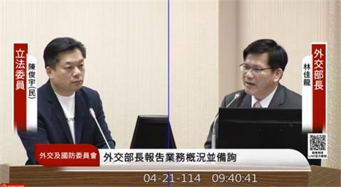 快新聞／外交部預算被刪！林佳龍證實護照「安全存量將用盡」　「這時候」恐一本不剩