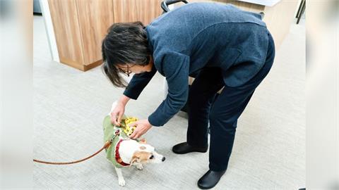 快新聞/蔡英文與愛犬「樂樂」歡度小年夜 嗨掛蜜柑萌虎、超人力霸王提燈