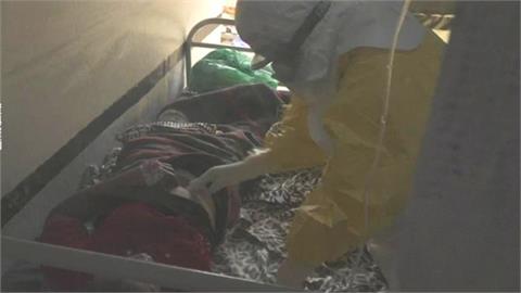 出去玩注意！伊波拉2國拉警報「致死率最高9成」疾管署：2類動物千萬別碰