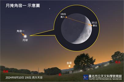 快新聞／8月天象好精采！罕見月掩一等星、英仙座流星雨輪番登場　觀賞時間曝