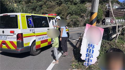 苗水雲瀑布6遊客遭虎頭蜂螫　女童慘螫4針送醫