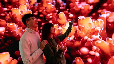 翻轉海洋視界！海生館首創沉浸式弧形LED攝影棚震撼登場