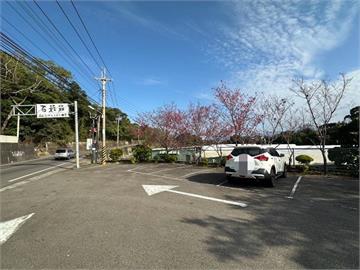 快新聞／台中初一命案！新社山區景點「1人1狗」陳屍車內　警方回應了