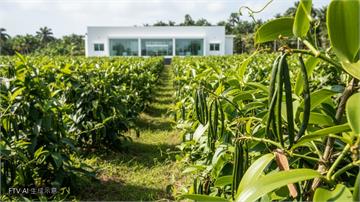 香草之王在產地！香料巨頭 IFF 馬達加斯加創新中心落成