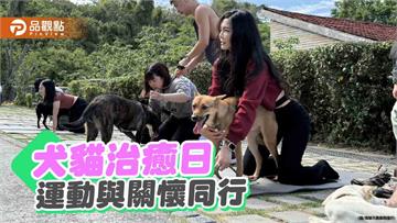 高雄動保處攜手企業首創「犬貓治癒日」　狗狗健身趴熱鬧登場