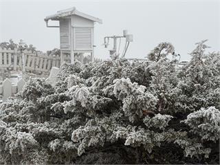 【圖多】玉山、太平山出現霧淞！合歡山下冰霰路結霜　武嶺至松雪樓得加掛雪鏈