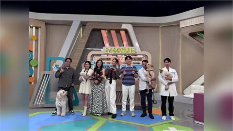 蔡允潔淚訴家中貓咪都出事!貓瘟花20萬救回根本被掏空