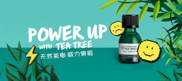 全球瘋買茶樹精油！有效抗痘外，還能驅蚊、舒緩心情