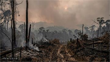 印尼新首都周邊爆發野火　延燒數百公頃當局急求造雨