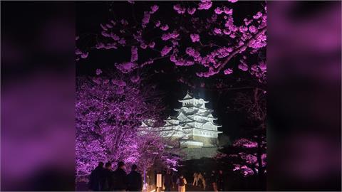 快新聞／薔蜜颱風肆虐日本！世界遺產「姬路城」外牆剝落