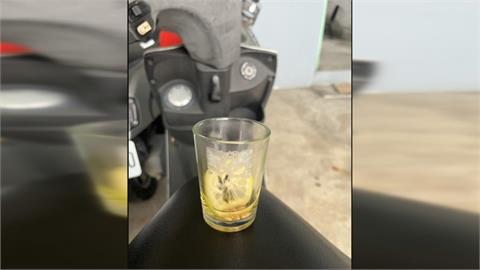 女騎士未打方向燈遭攔查　酒測超標竟撒嬌還摸警大腿
