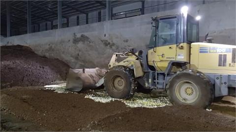 芬普尼毒蛋延燒! 蛋行負責人20萬交保 蛋也流向新北