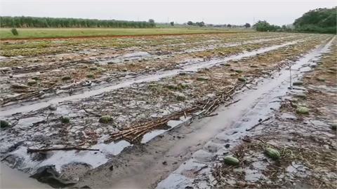 豪雨不斷！全台農損破2億　蔡總統視察：政府會全力幫忙