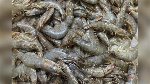 中國驚爆「蝦病毒傳人」害失明！疾管署曝台灣風險　亞洲1國也被點名