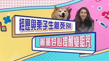 (影)／薔薔歷經與狗兒子生離死別 好心提醒變詛咒？