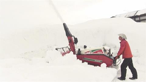 日本寒流趨緩各地回暖　融雪恐砸傷行人、釀淹水