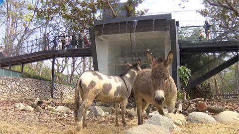 壽山動物園斥資5億整修　「小小特派員」來開箱