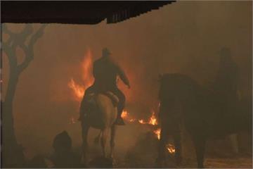 慶祝聖安東尼節 西班牙民眾「騎馬越火海」