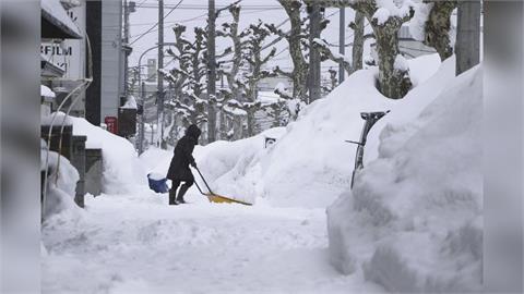 日本北部將迎瑞雪! 北海道「鮭魚乾纜車上路」替牧場棕熊加菜