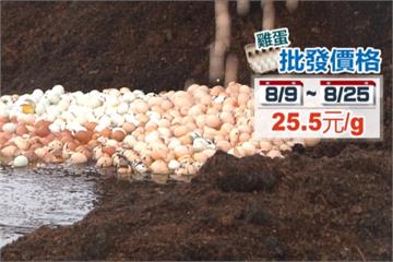 台北市驚傳毒雞蛋！儂特利、富益行都中鏢