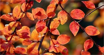 12星座最新一周運勢出爐　牡羊適合斷捨離、水瓶職場新氣象