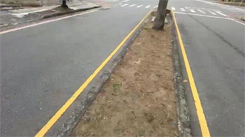 清潔員自備紙屑拍完照再夾起　整個過程被民眾拍下