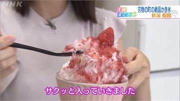 日新潟小鎮專製「刨刀」 結合在地特產推「毛豆」刨冰