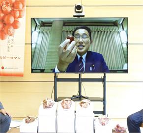 日本「紅寶石葡萄」一顆破萬！　拍出35.8萬台幣天價、台灣超市得標