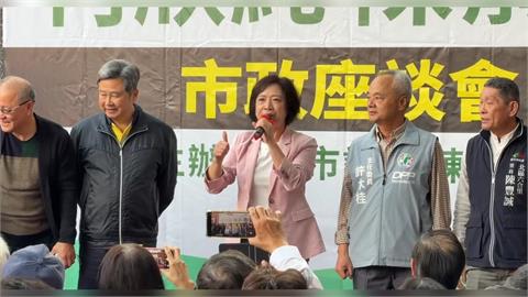 綠營何欣純廟口座談直搗藍營票倉　江、楊「姊弟之爭」拚提名