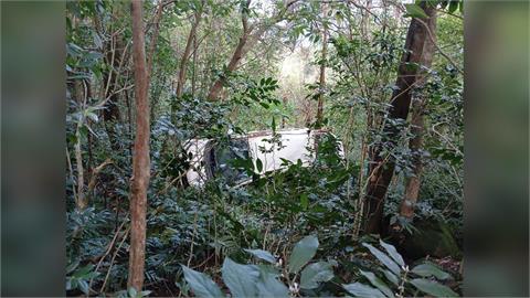 最新／奇蹟！瑞芳轎車「煞車失靈」衝下山谷卡樹欉　女駕駛僅輕傷