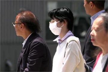 日本花粉量創下歷史新高 東京地方政府砍樹因應 