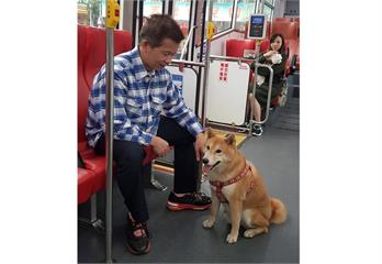 帶毛孩輕鬆出遊　新北市友善寵物公車新增藍15線