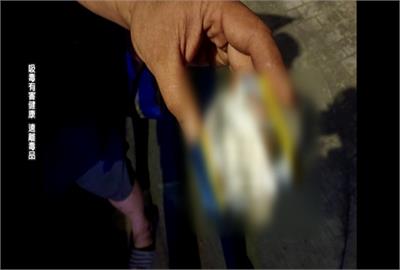 駕駛等紅燈滑手機遭攔查　「飄K味」搜出毒品遭送辦