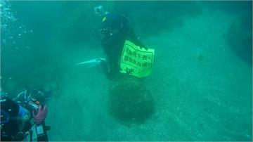 環評200字草草帶過珊瑚礁！基翬海岸居民、環團舉布條抗議