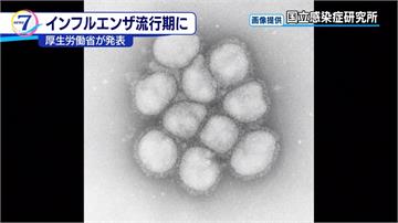 旅日注意！日本流感進入流行期