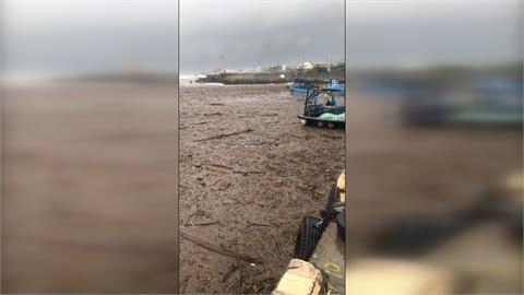 每逢豪雨就塞港！　漂流木塞爆枋山楓港漁港