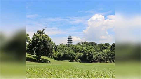 全台首座高球場變公園！果嶺自然公園10/10正式迎客
