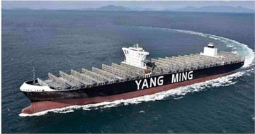 陽明殖利率逾10％！國家隊不買帳　25日狠砍2.5萬張