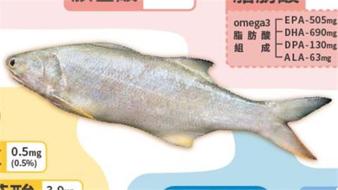古早人公認「第一名」的魚！漁業署曝午仔魚富含「4種營養素」
