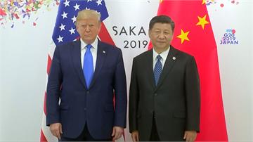 全球／大阪G20川習會 貿易戰再休兵重回談判桌