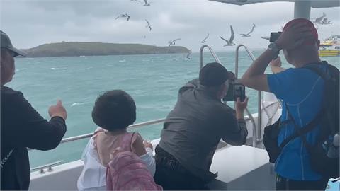 「瑪娃」颱風影響輕微　澎湖觀光船照常出海賞燕鷗