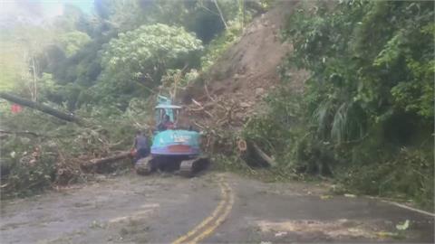 連日大雨釀樹倒、大面積坍方　阿里山通往達那伊谷道路中斷