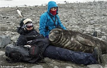 坐在海邊看風景，突然有隻90公斤的海豹朝我靠近...然後就在我身上睡了兩個小時...腳真的好麻啊～