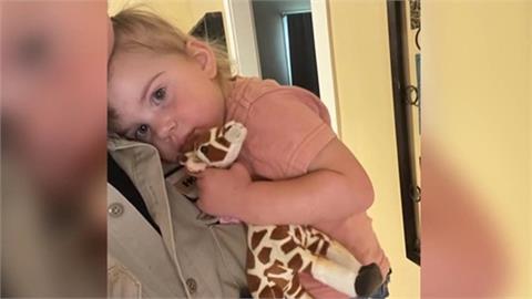 2歲女童突遭長頸鹿叼走　媽媽驚聲尖叫救女兒